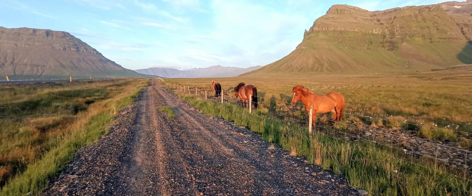 Lasciaretuttoeandare